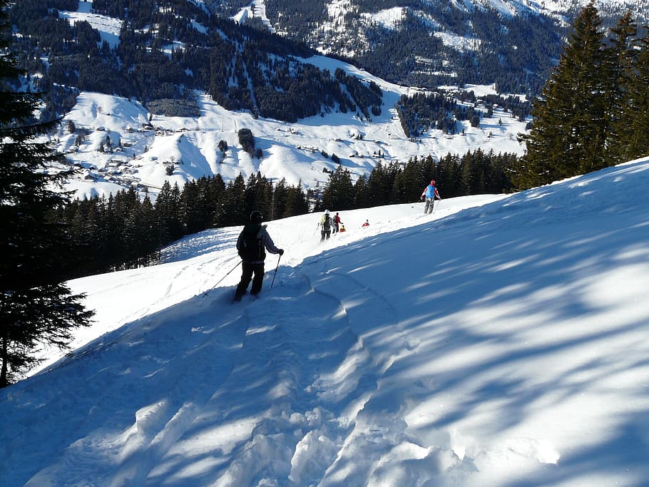 esquí, esquiadores, salida, nieve profunda, pista, invierno, frío, nieve, temperatura fría, montaña