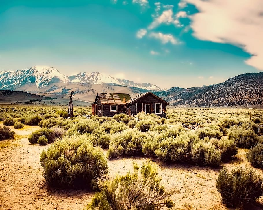 wooden, house, middle, prairie, surrounded, hills, house in the middle, desert, shack, cabin