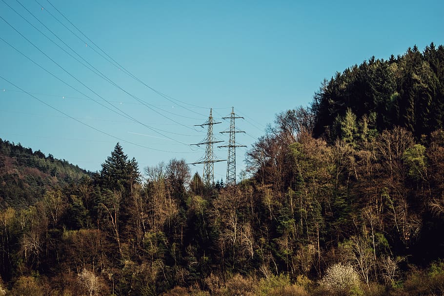 landscape, trees, utility poles, forest, sky, mountains, green, nature, autumn, firs