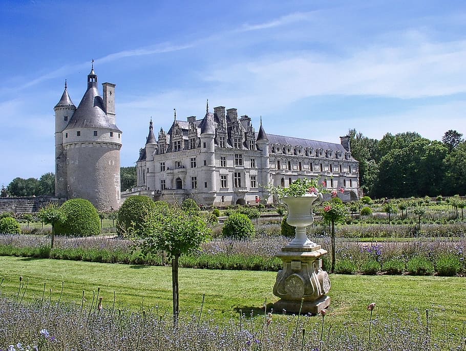 Renaissance, Castle, Castles, loire valley, chenonceaux, france, architecture, building exterior, tree, history