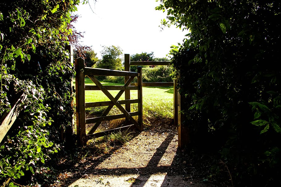 brown, wooden, gate panel, green, leafed, plants, gate, field, fence, grass