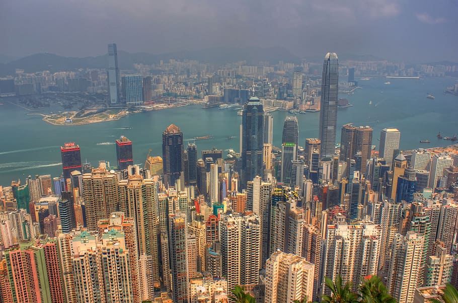 birds eye view, city building, daytime, hong kong, china, buildings, skyscrapers, metropole, high rises, city