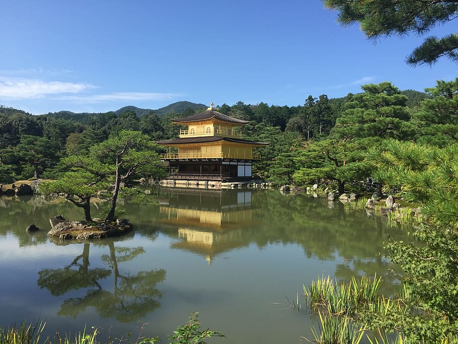 osaka, golden pavilion temple, lake view, water, tree, reflection, lake, plant, built structure, architecture