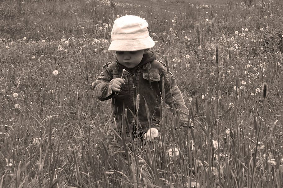 grayscale photo, toddler, flower field, child, young, people, look, finger, face, eyes