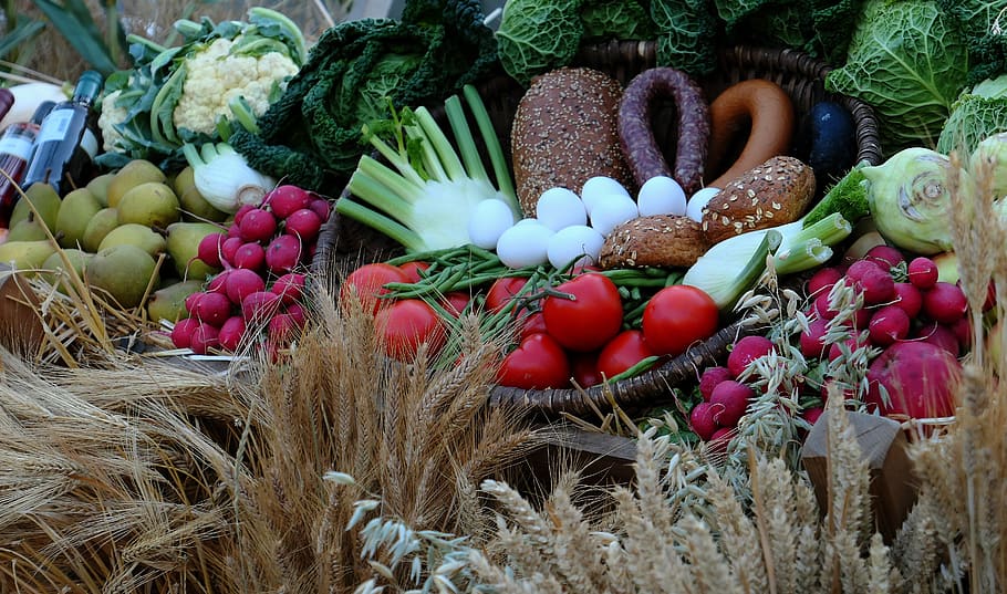 harvest, thanksgiving, autumn, pumpkin, vegetables, healthy, agriculture, decoration, food, pumpkins