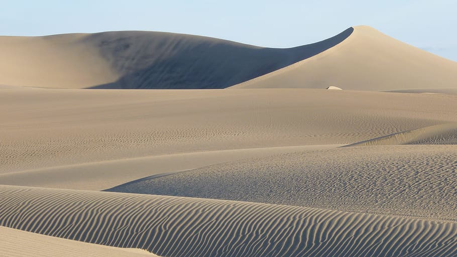 desert during daytime, Desert, Dunes, sand dunes, desert landscape, sand, landscape, dune, sahara, outdoors