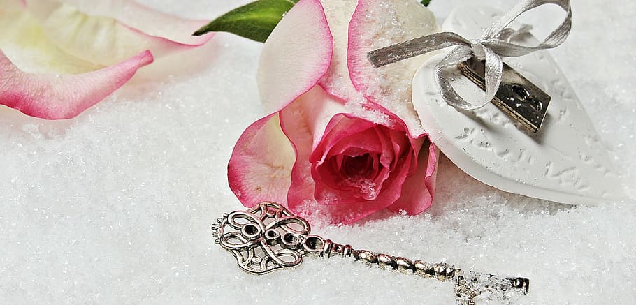 pink, rose, silver, key, snow, heart, herzchen, love, romance, symbol