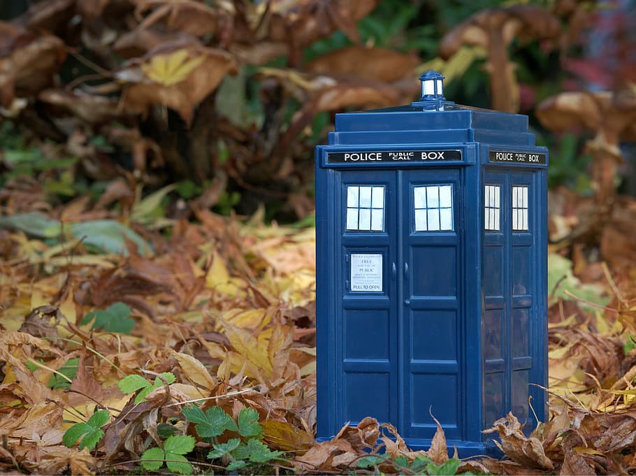 caja de policía azul, tardis, dr who, doctor who, sotobosque, hojas, tiempo, viaje, viajero, espacio