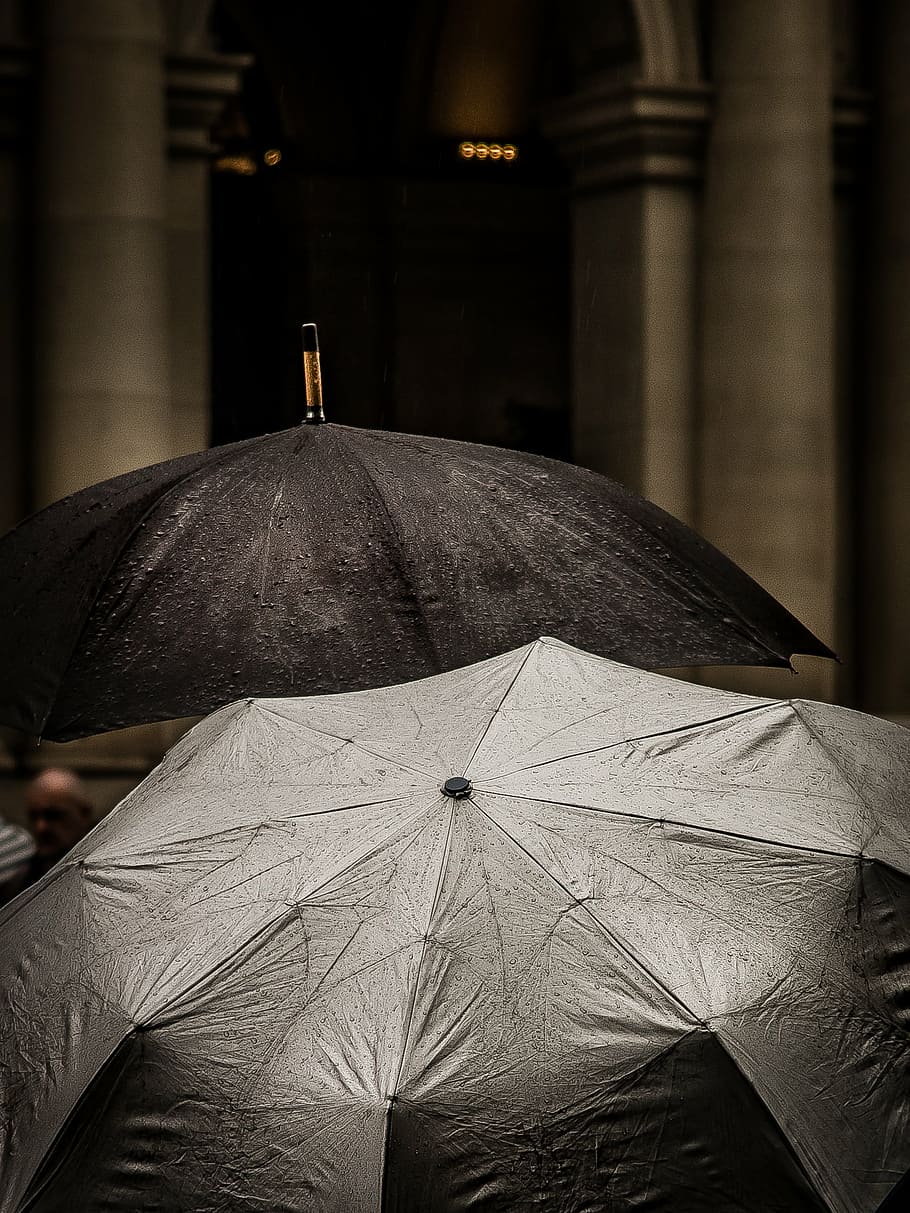 two, gray, black, umbrellas, umbrella, water, drops, raining, outside, rain