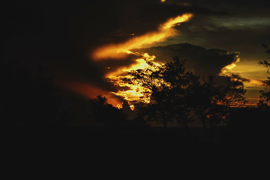 silhouette, trees, cloudy, sky, golden, hour, tree, nature, landscape, sunset