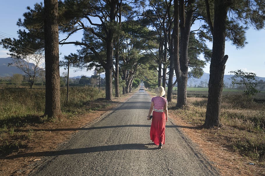 woman, walking, trees, road, pine trees, gia lai, two, street, the morning, town