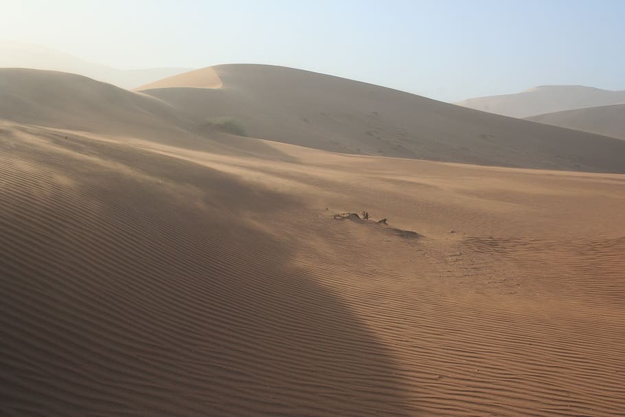 desierto, áfrica, namibia, al aire libre, escénico, morgenstimmung, estado de ánimo, luz, duna, tormenta de arena