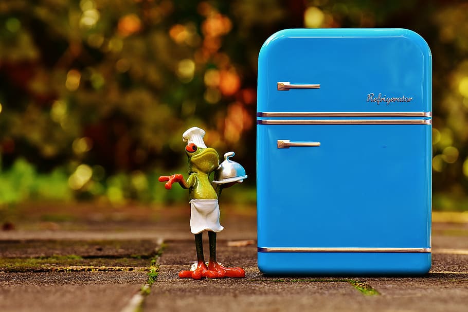 verde, figurilla de rana chef, al lado, azul, juguete refrigerador, rana, cocina, refrigerador, figura, gracioso