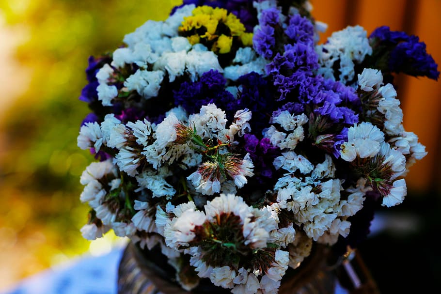 untitled, closeup, purple, yellow, white, petaled, flower, bouquet, colorful, petal