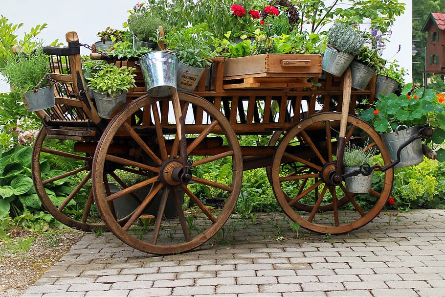 brown wooden carriage, garden, deco, cart, dare, flowers, plant, bucket, ornament, decorate