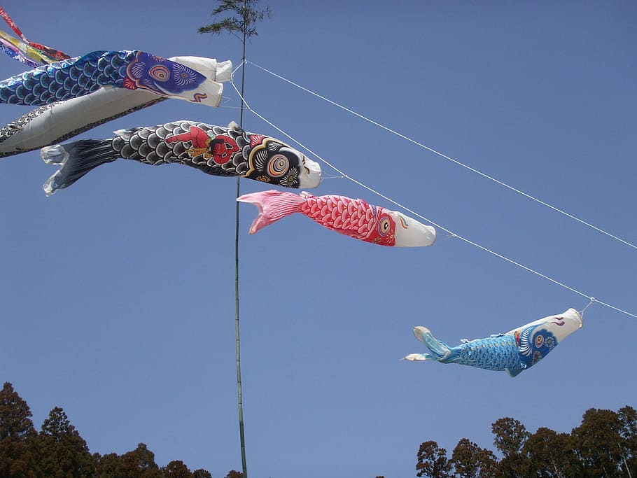 boys' festival, carp streamer, streamers, sky, nature, low angle view, blue, clear sky, flying, bird