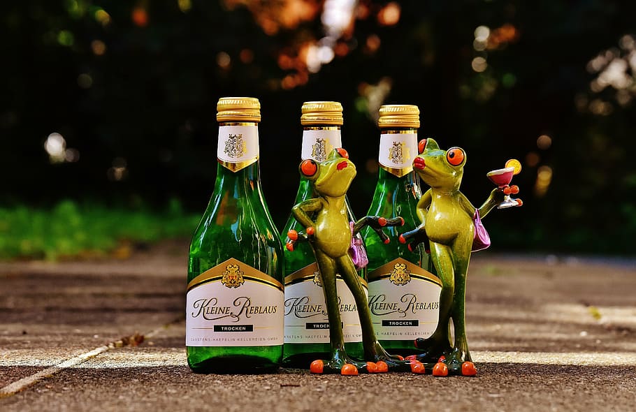 frogs, wine, drink, restaurant, weinstube, alcohol, figure, funny, cute, bottles
