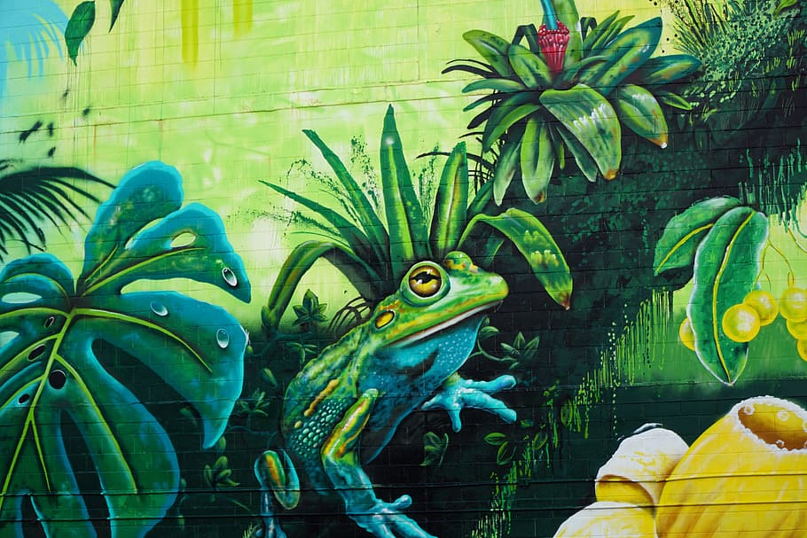 streetart, darwin, frog, painting, artwork, art, green color, art and craft, glass - material, day