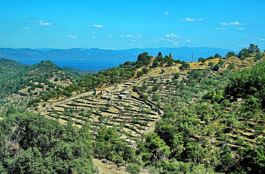 terrace cultivation, terrace, greece, greek, agriculture, landscape, farm, nature, travel, green