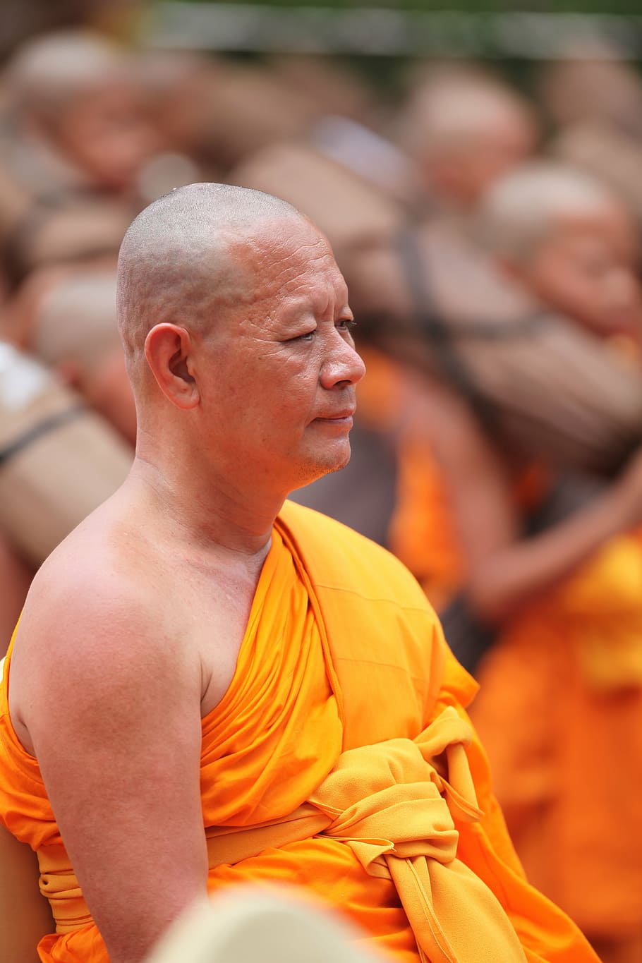 monje, budista, meditar, tradición, ceremonia, naranja, túnica, hombre, tailandia, tailandés