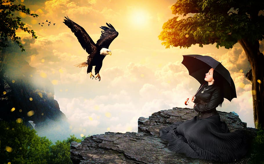 mulher, vestindo, preto, casaco, menina, águia, fêmea, selvagem, natureza, espírito