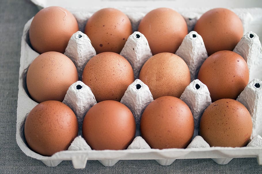Eggs, Rural Life, Hens, egg, egg carton, in a row, food and drink, healthy eating, food, large group of objects