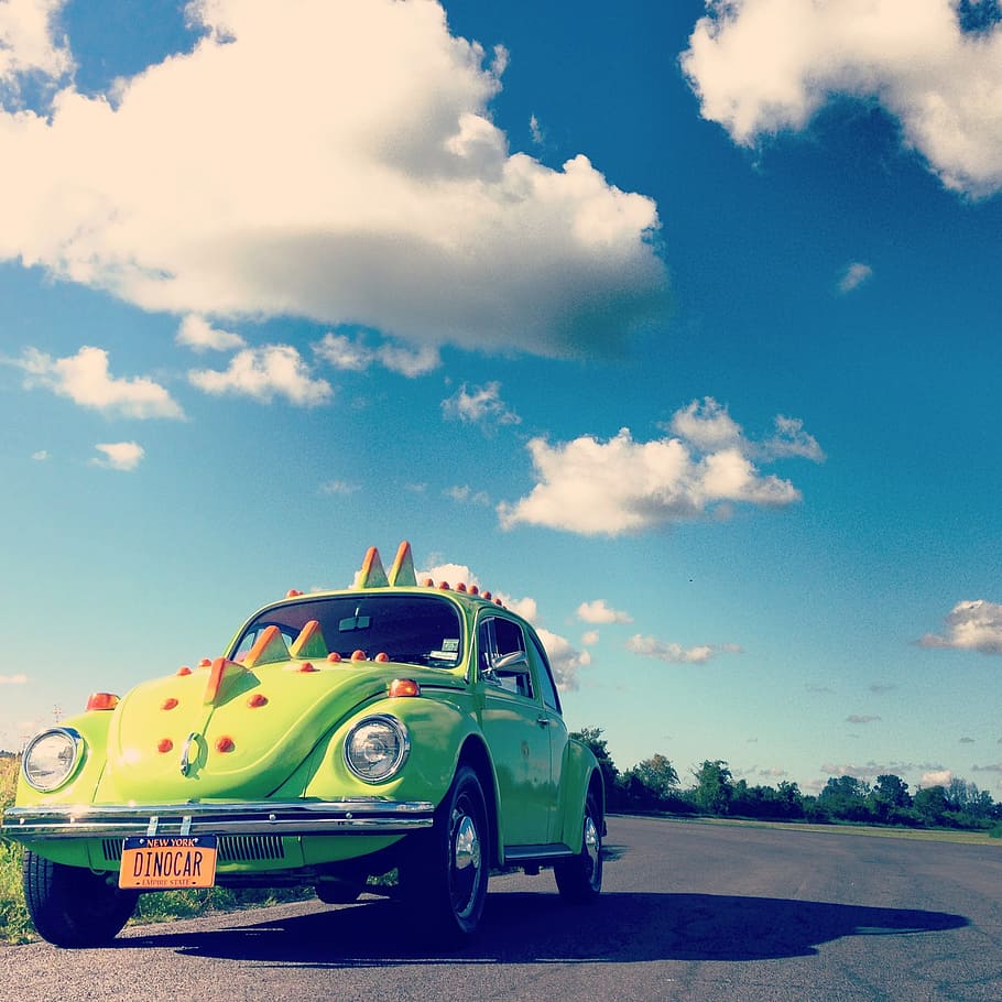 green, volkswagen beetle, road, vw beetle, volkswagen, vw, classic car, whimsical, funny, crazy