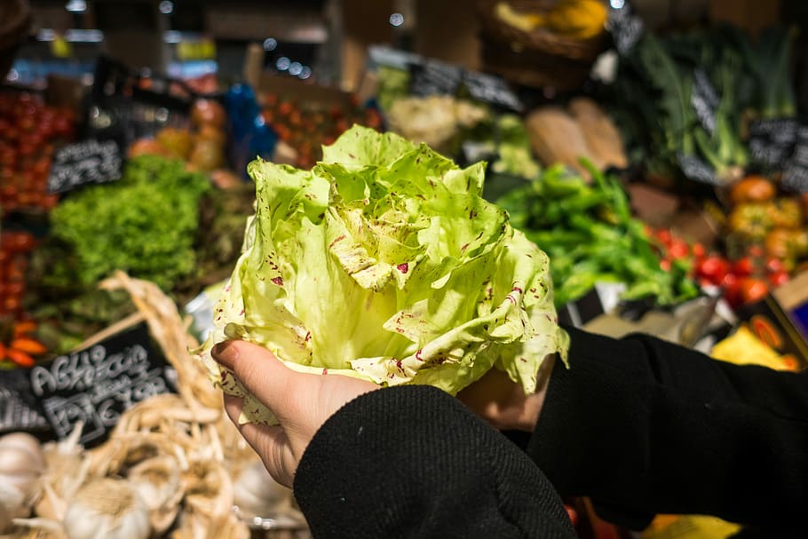 lettuce, grocery store, Holding, hands, healthy, market, vegetable, food, store, retail