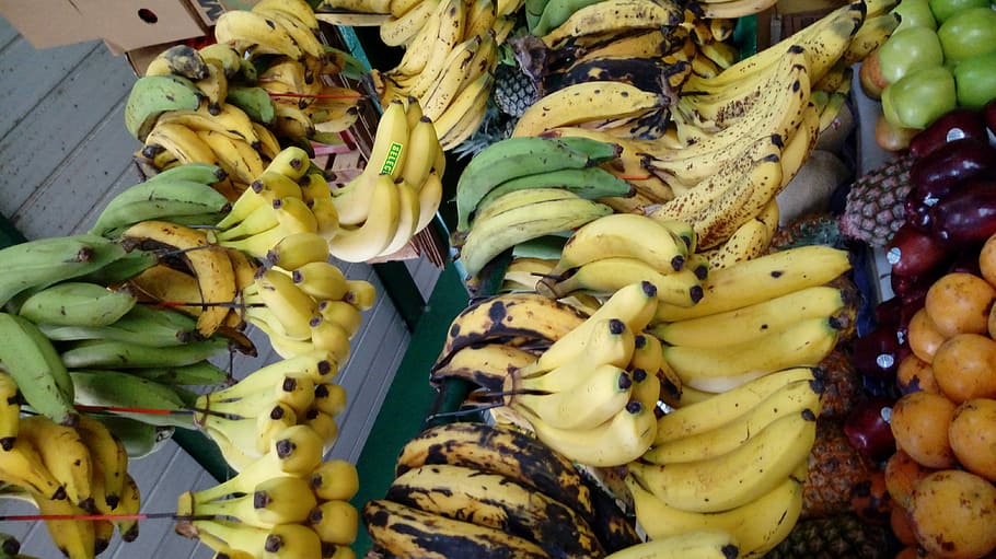 Bananas, banana, fruta, verde, tropical, amarelo, comida, frescura, saudável Comer, natureza