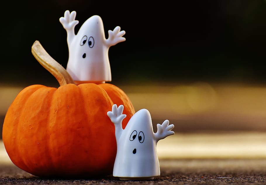 photograph, orange, pumpkin, two, white, ghosts, halloween, happy halloween, ghost, autumn