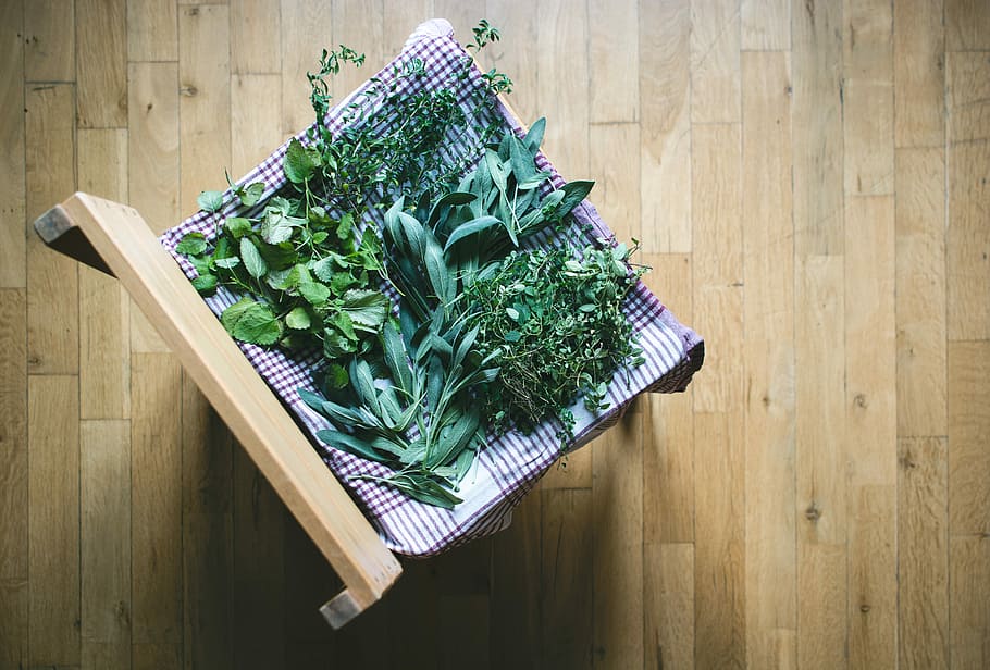 herbs, home, Drying, at home, top view, wood, wood - Material, green Color, food, freshness