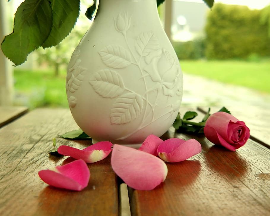 Vaso, mesa, flor, decoração, rosa, vaso de flor, planta, flores, folhas, deco