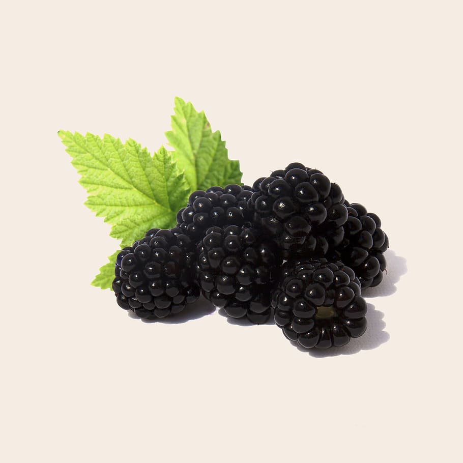 blackberry, buah, kesehatan, makanan dan minuman, makanan sehat, warna hitam, daun, foto studio, makanan, kesegaran