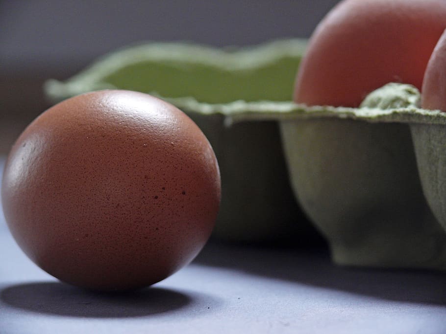 selective, focus photography, brown, egg, egg carton, chicken eggs, food, egg box, brown eggs, egg packaging