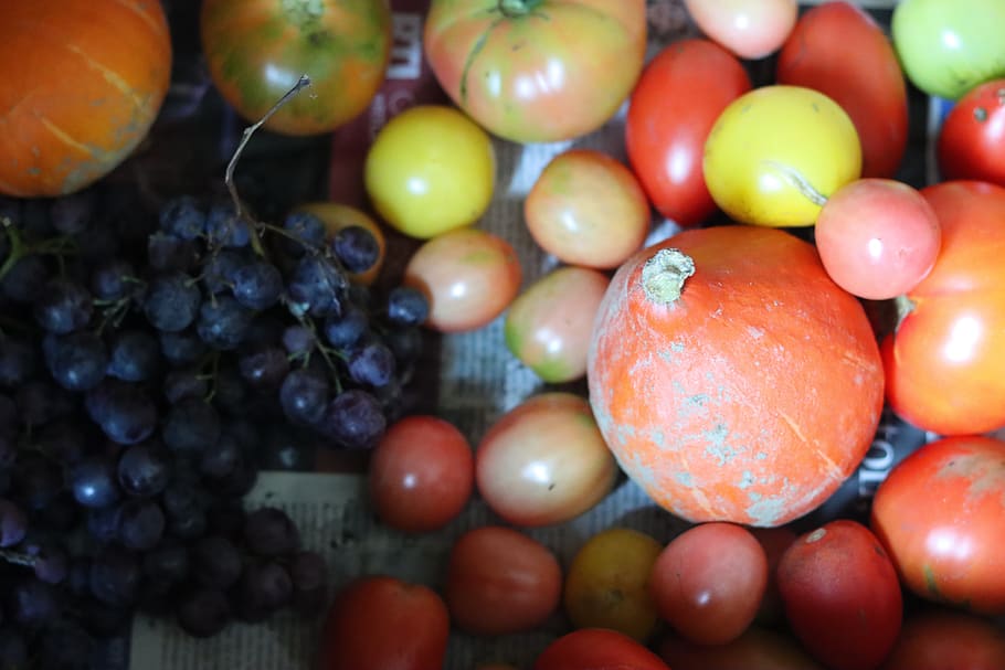 sayuran, buah, tenaga, musim gugur, panen, makan, cucurbita, makanan, vegan, makanan dan minuman