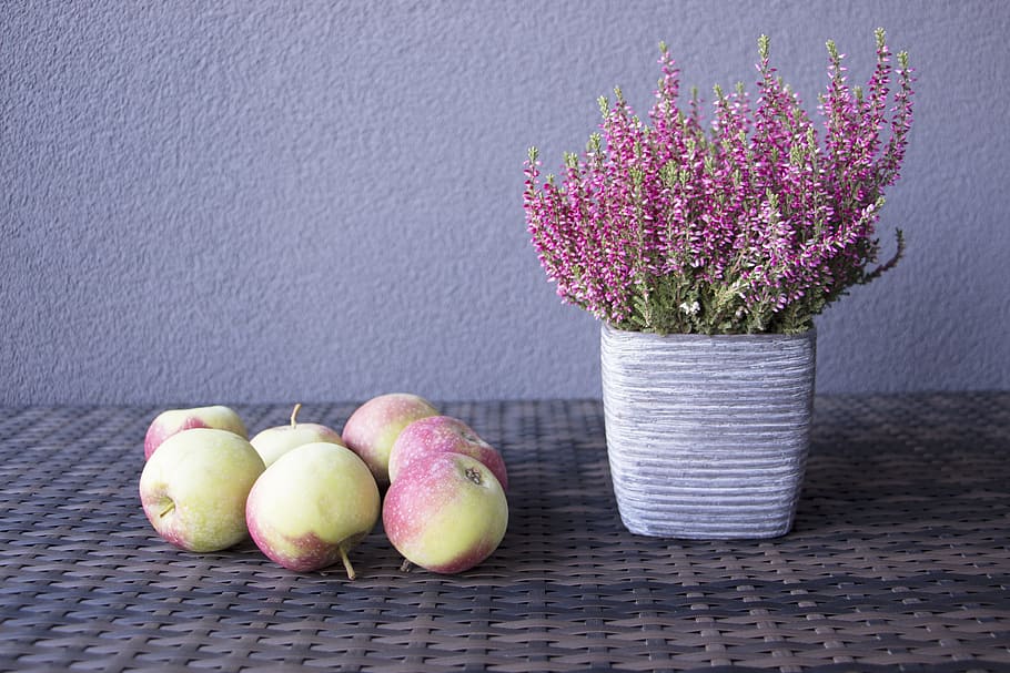 ikat, apel, pot bunga, permukaan anyaman, musim gugur, bunga, pedesaan, panen, makanan, musim