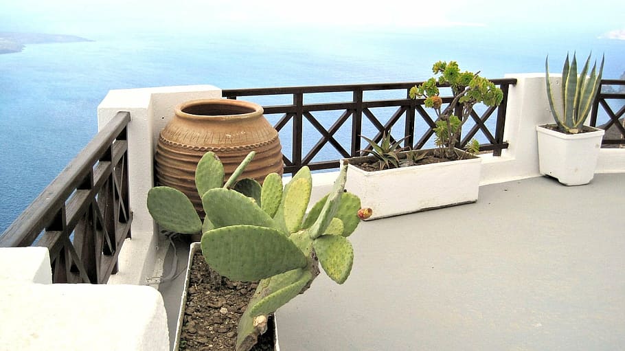 architecture, santorini balcony, greece, plants, travel, water, nature, plant, sea, potted plant