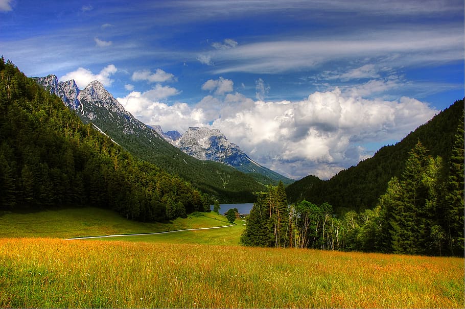 green, grass field, across, mountains, body, water, daytime, Lake, Tyrol, Austria