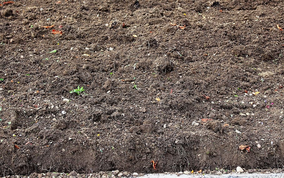 suelo marrón, humus, suelo, cultivable, otoño, barbecho, sin gente, fotograma completo, día, vista de ángulo alto