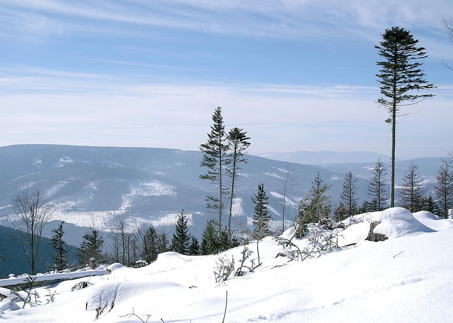 largura, foto de ângulo, montanha coberta de neve, montanhas opawskie, tops, paisagem, inverno, montanhas, neve, branco