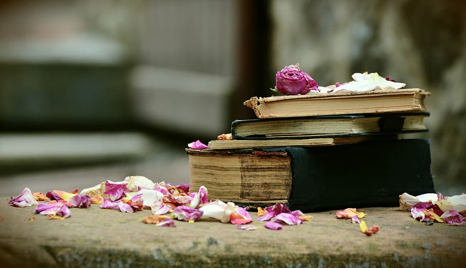 pink, petals, scattered, pile, 5 books, books, old books, antiquariat, used, used books
