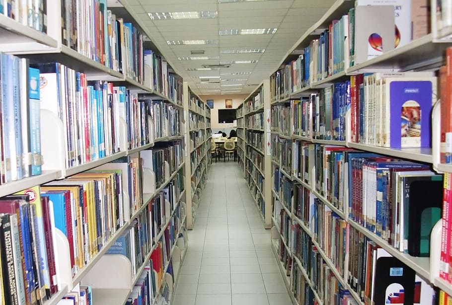 buku di rak buku, buku, perpustakaan, sekolah, pendidikan, pengetahuan, referensi, belajar, rak, publikasi