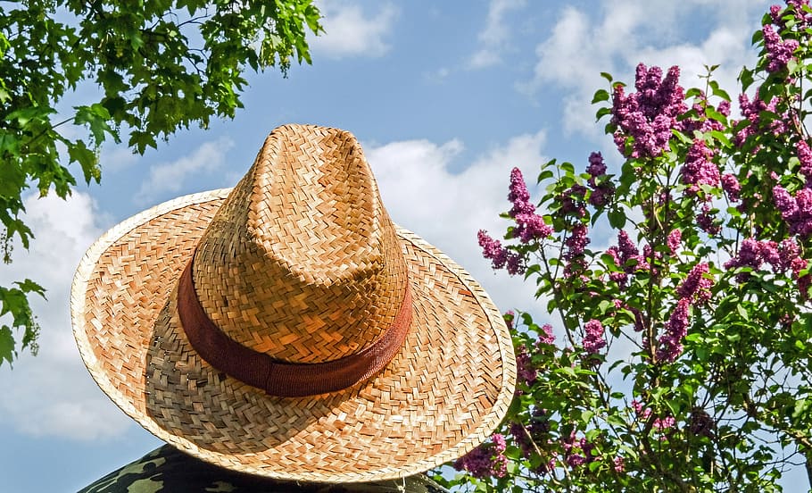 person, wearing, brown, hat, green, trees, blue, sky, daytime, straw hat