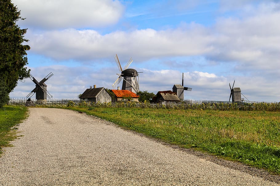 field, windmills, mill, old mill, dutch wind mill, baltic states, saaremaa, estonia, renewable energy, wind turbine