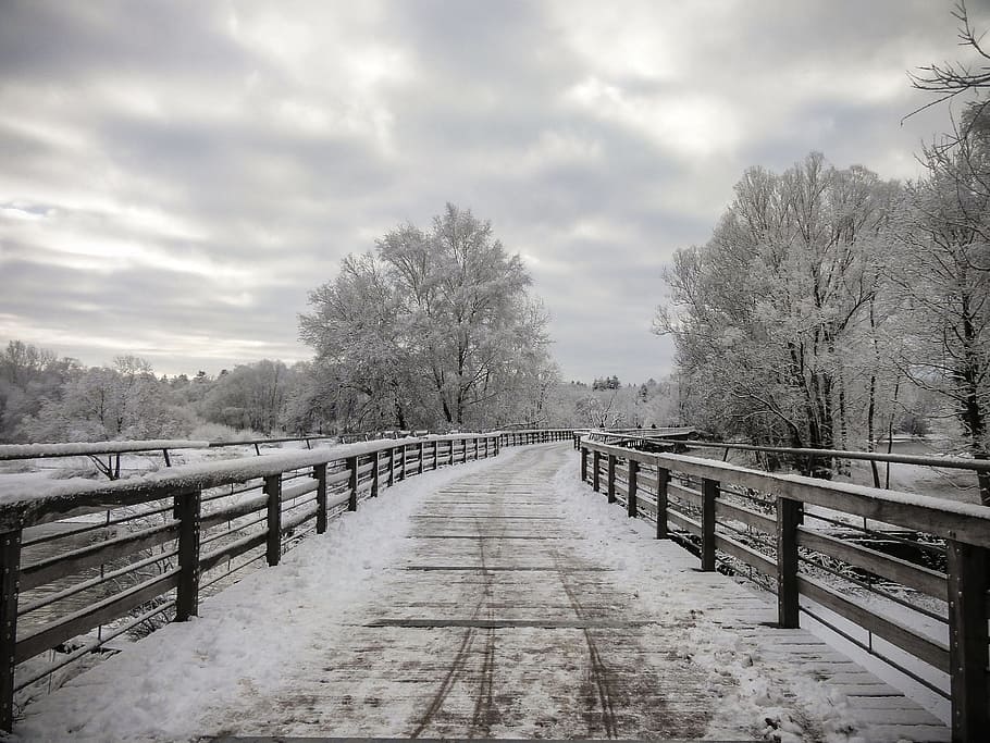 pathway bridge, covered, snow, towards, forest, grayscale photography, wooden bridge, winter, wintry, nature