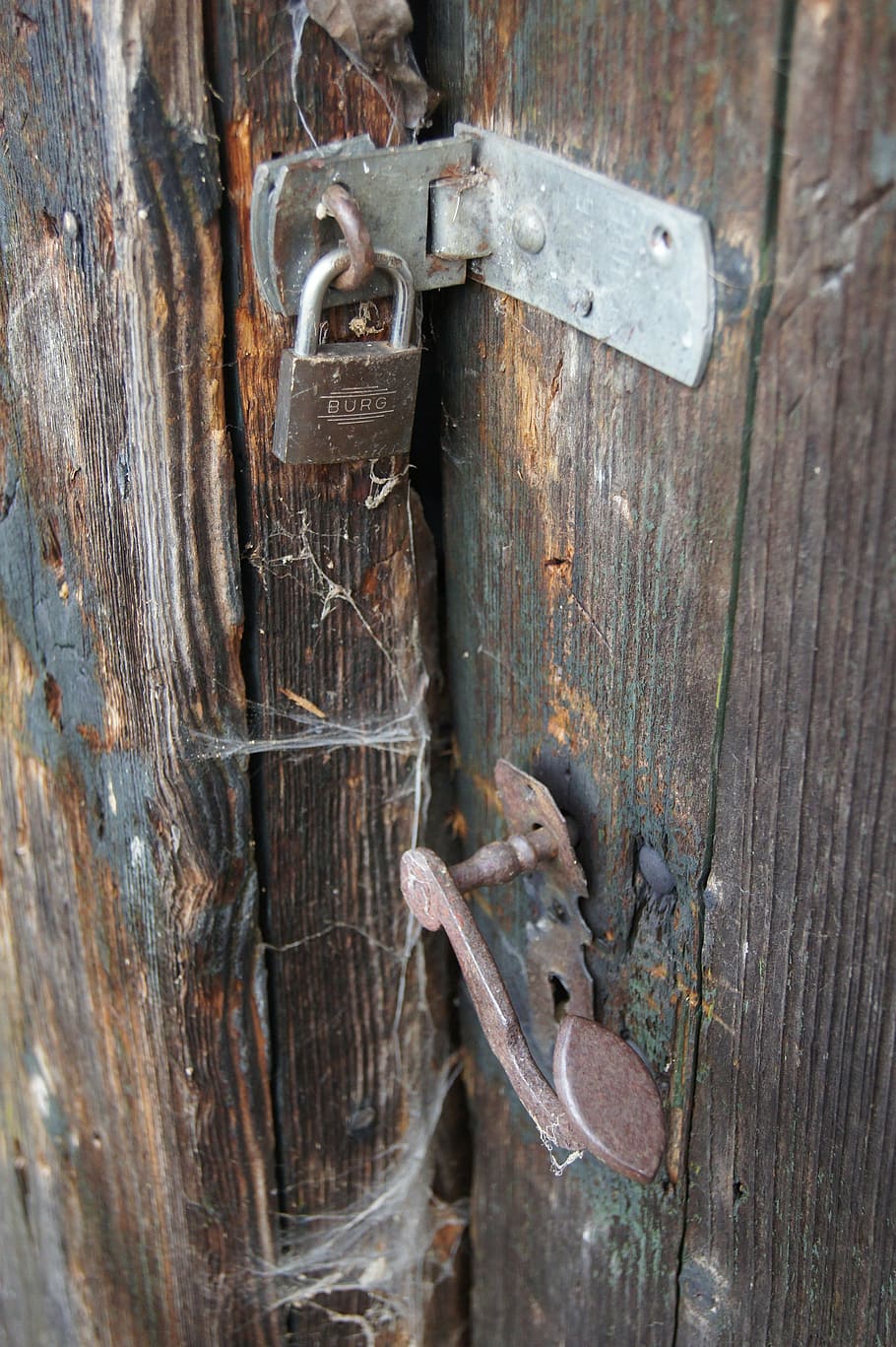 porta, cabana, cadeado, fivela da porta, velho, travar, madeira - Material, portão, entrada, fechado