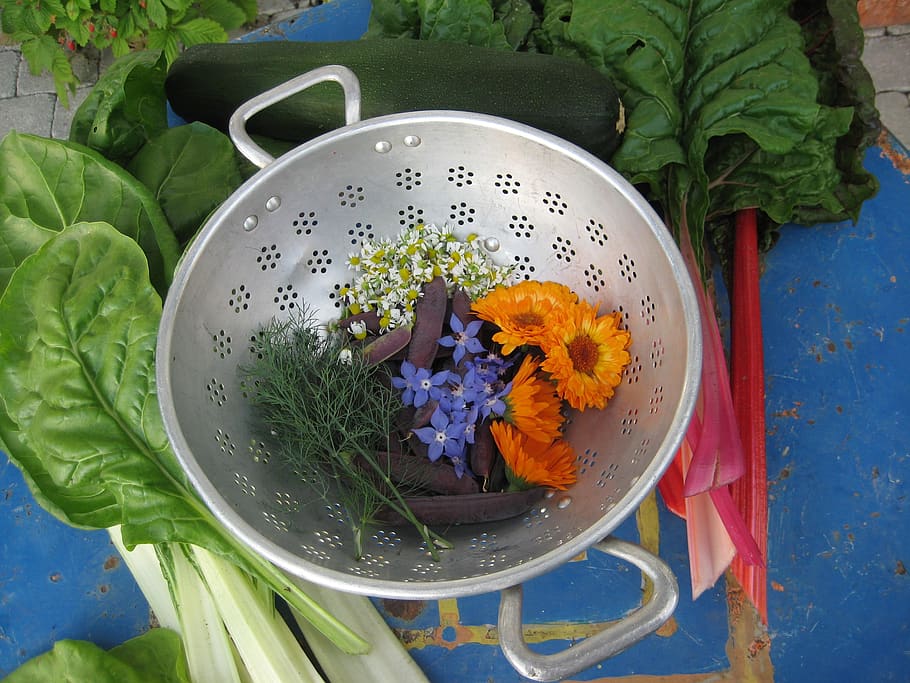 tazón, tazón de metal, ensaladera, cosecha, verduras, hierbas, flores, jardín, saludable, comida