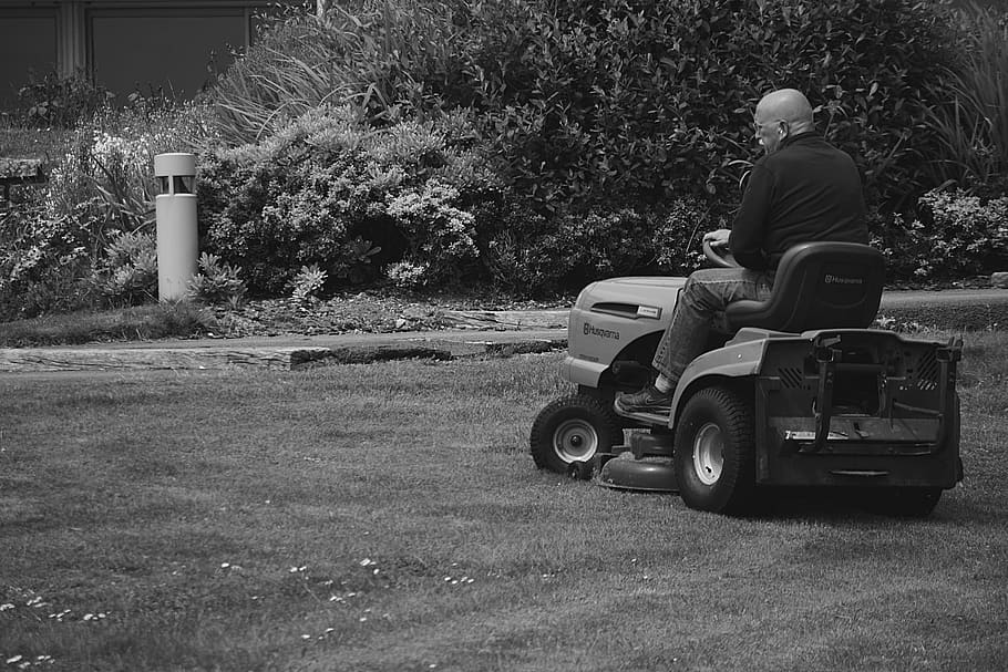 people, man, old, plants, grass, lawn, tractor, mower, cutting, driving