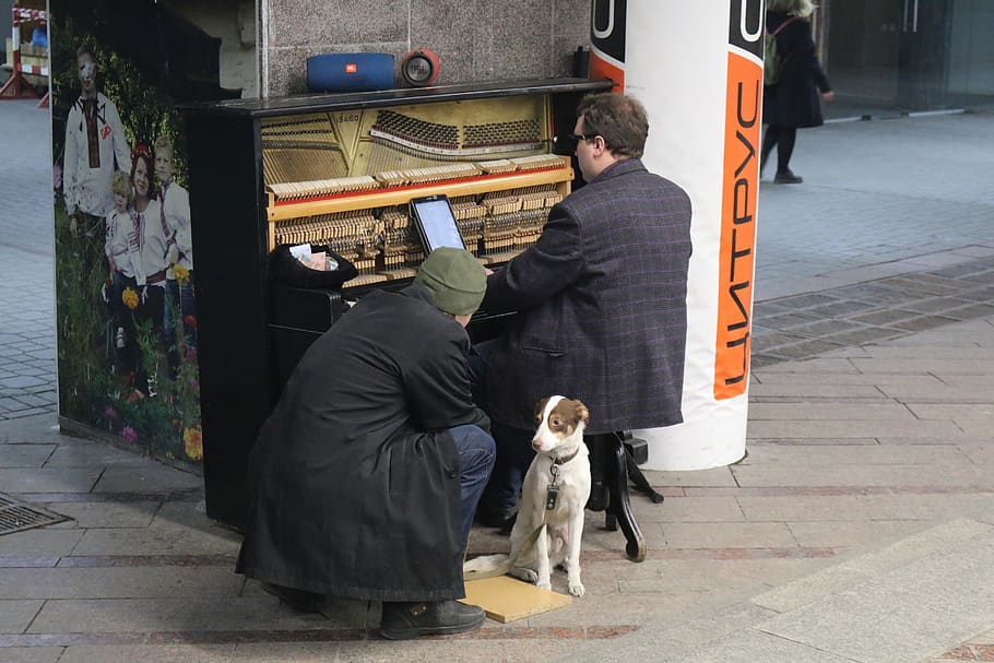 european, ua, ukraine, kiev, independence square, underground, musician, man, dog, piano
