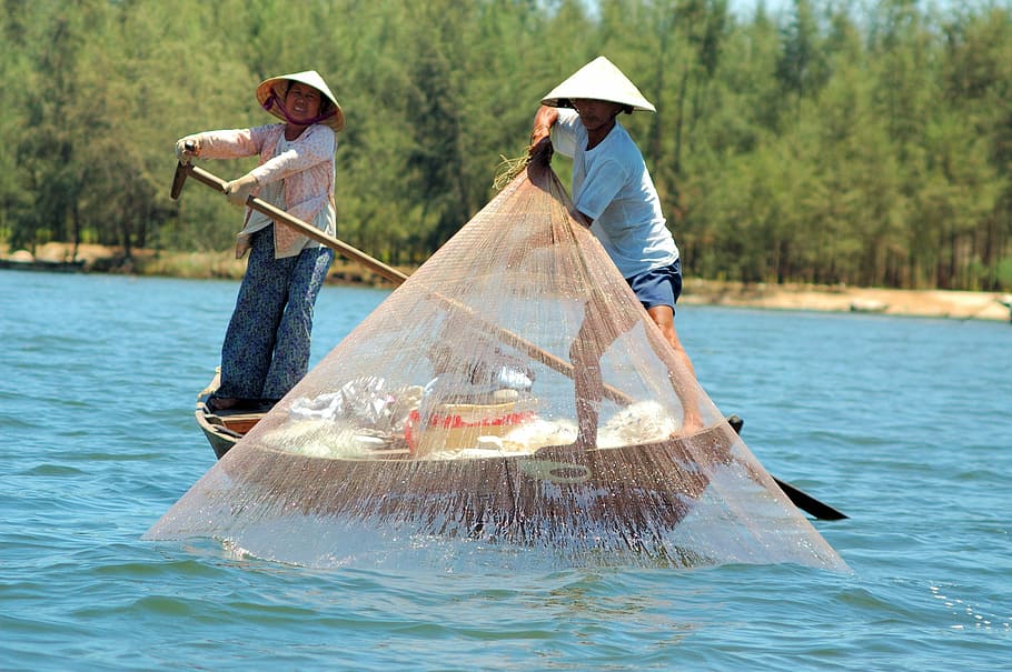 Fishing, Vietnam, Asia, Travel, Lake, boat, work, nautical Vessel, people, water